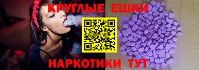 эйфоретик Кингисепп