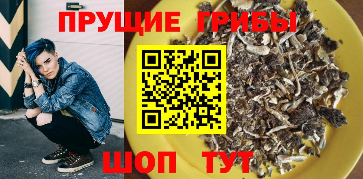 Галлюциногенные грибы прущие грибы Благовещенск