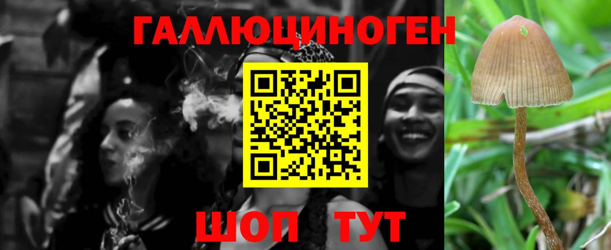 купить  сайты  Галлюциногенные грибы Psilocybe  Вход с VPN  Благовещенск  Галлюциногенные грибы MAGIC MUSHROOMS 